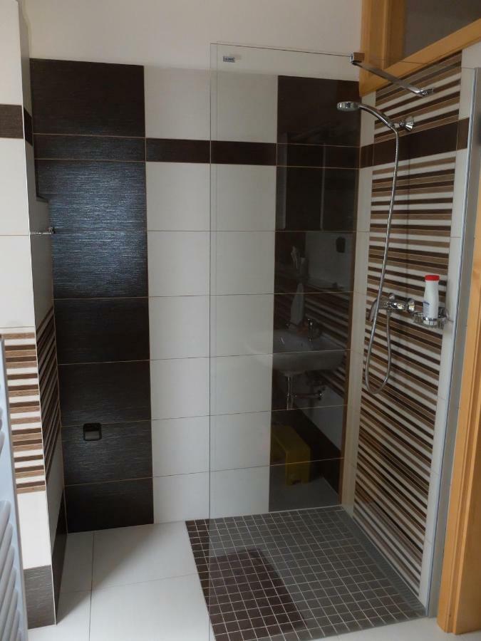 Apartment Třeboň المظهر الخارجي الصورة
